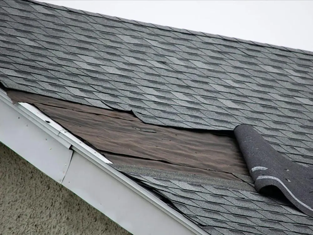 roof-repair-project-1